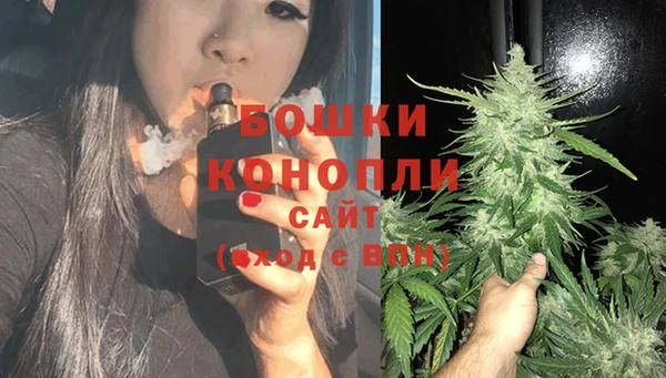 шишки Богородицк