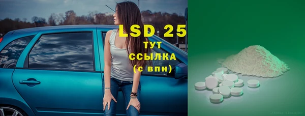 PSILOCYBIN Богородск