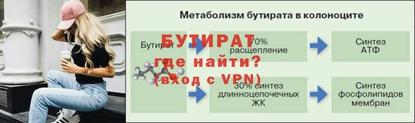 прущие грибы Переславль-Залесский