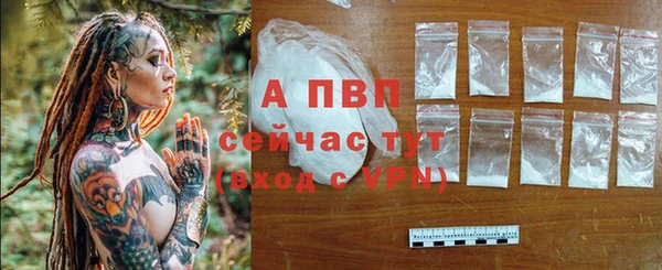 PSILOCYBIN Богородск