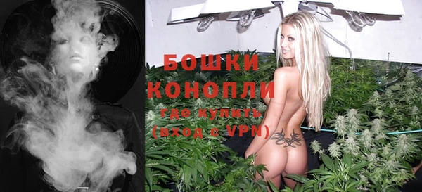 шишки Богородицк