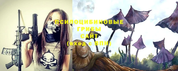 PSILOCYBIN Богородск