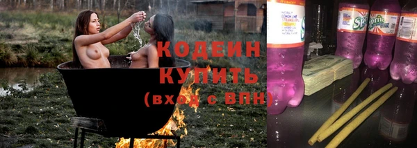 шишки Богородицк