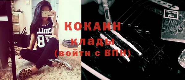 шишки Богородицк