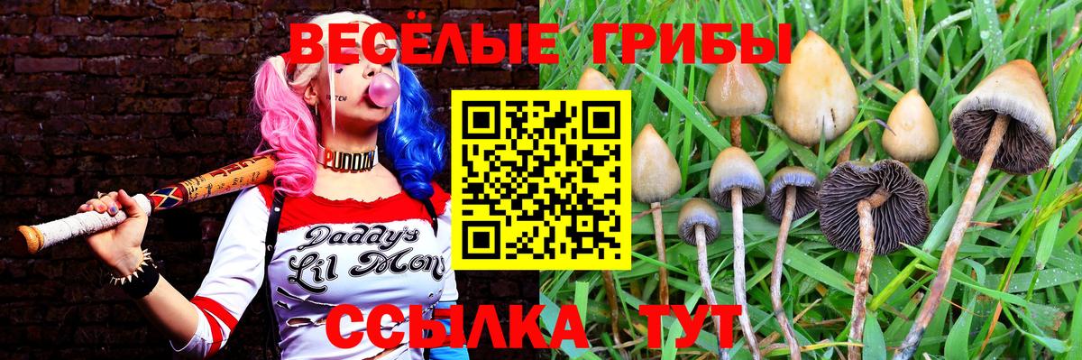 Псилоцибиновые грибы Magic Shrooms Находка